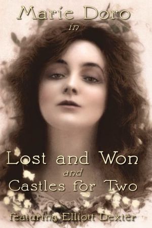 Lost and Won's poster