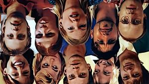 The Idiots's poster