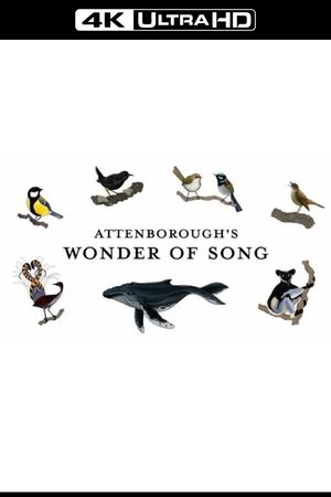 Attenborough's Wonder of Song's poster