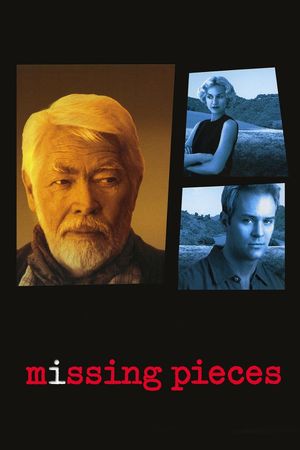 Missing Pieces's poster