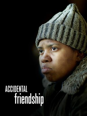 Accidental Friendship's poster