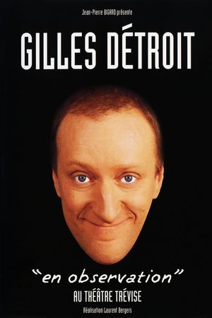 Gilles Détroit : En observation's poster