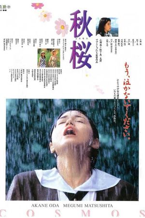 Remembering the Cosmos Flower's poster