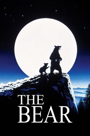 The Bear's poster