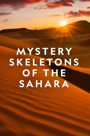 Mystery Skeletons of the Sahara's poster image