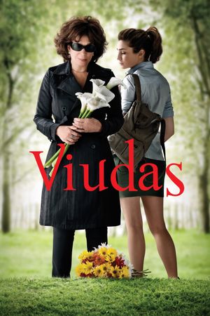 Widows's poster