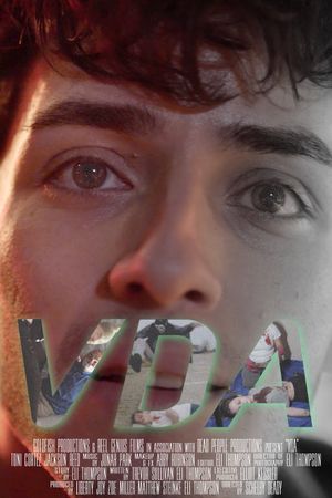 VDA's poster