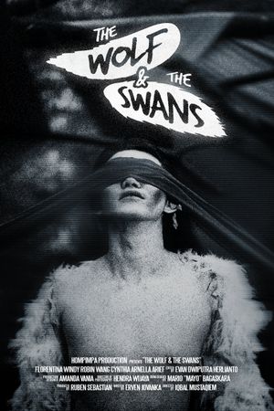 The Wolf & The Swans's poster image