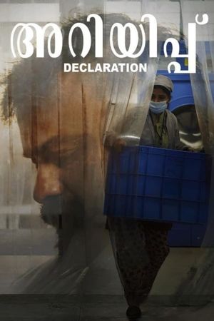 Declaration's poster