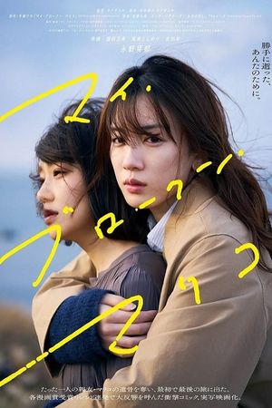 My Broken Mariko's poster
