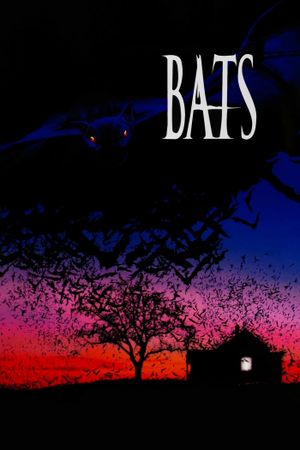 Bats's poster