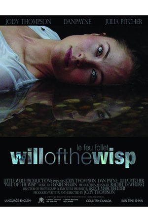 Will of the Wisp's poster