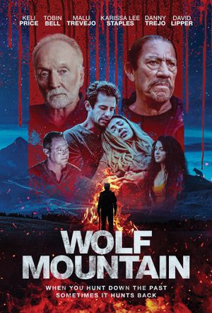 Wolf Mountain's poster