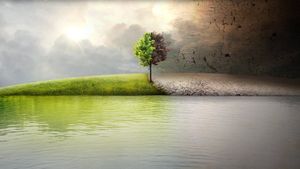 Before the Flood's poster