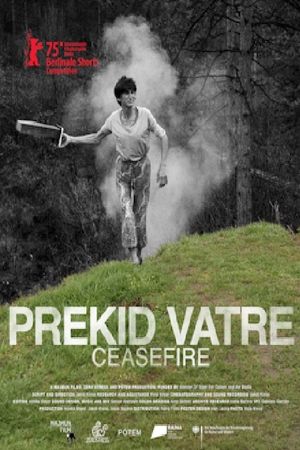 Ceasefire's poster