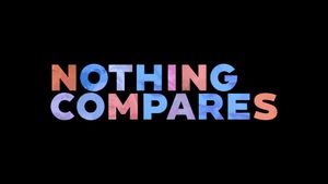 Nothing Compares's poster