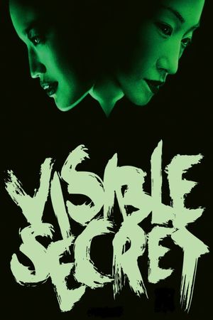 Visible Secret's poster
