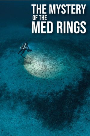 The Mystery of the Med Rings's poster