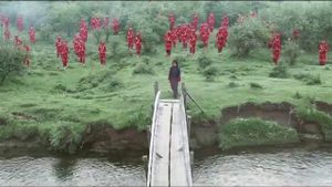 The Red Phallus's poster