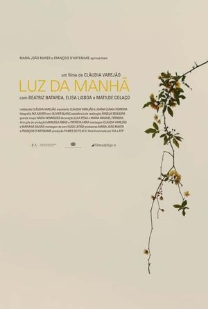 Luz da Manhã's poster