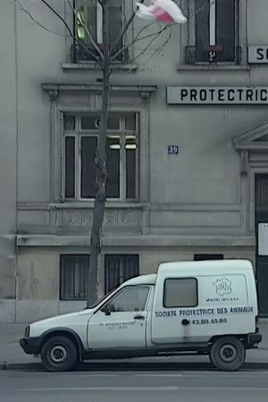 Nous sommes tous des cafards's poster
