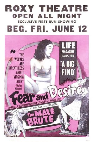 Fear and Desire's poster