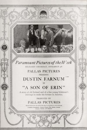 A Son of Erin's poster