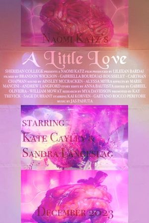 A Little Love's poster