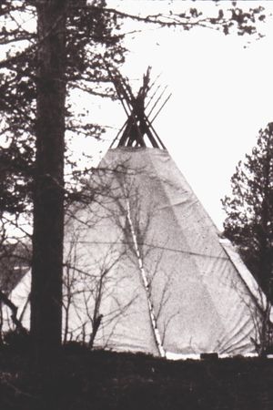 Samernas land's poster