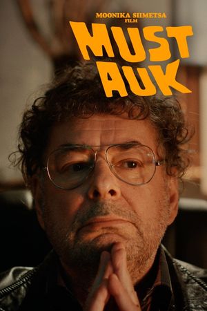 The Black Hole's poster