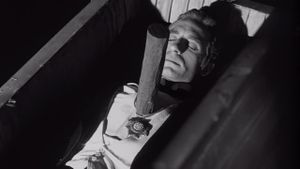 The Vampire's Coffin's poster