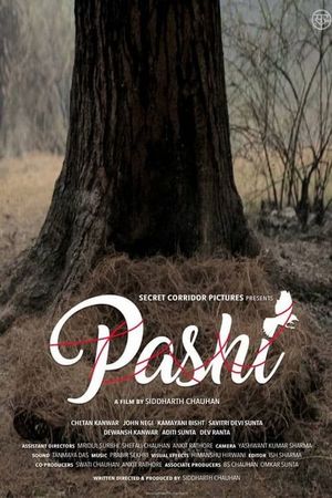 Pashi's poster