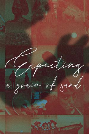 Expecting a Grain of Sand's poster