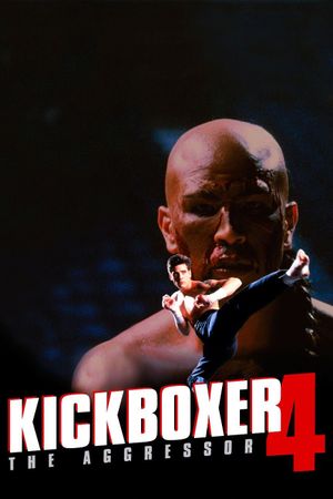 Kickboxer 4: The Aggressor's poster