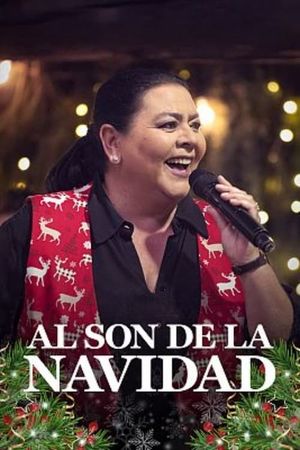 Al son de la navidad's poster