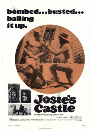 Josie's Castle's poster