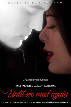Until We Meet Again's poster