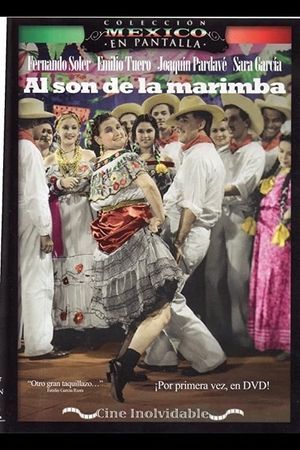 Al son de la marimba's poster