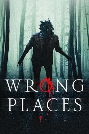 Wrong Places's poster