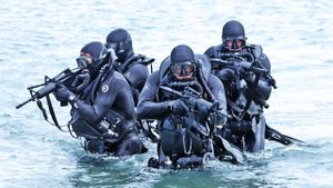 Navy SEALs: Their Untold Story's poster