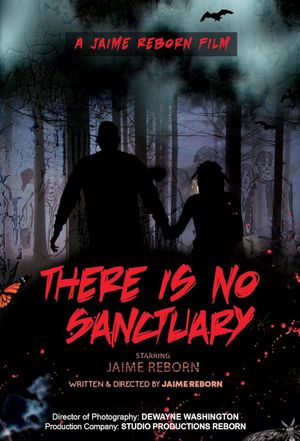There Is No Sanctuary's poster