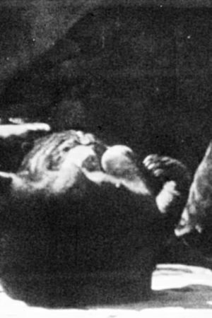 Tarzan’s Kampf mit dem Gorilla's poster