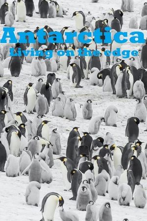 Antarctica - Living on the edge's poster