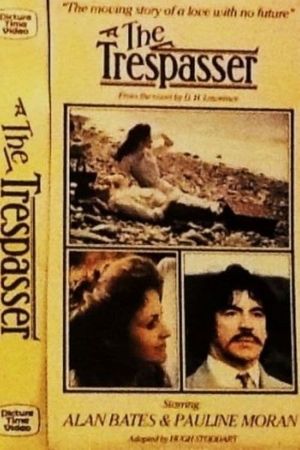 The Trespasser's poster