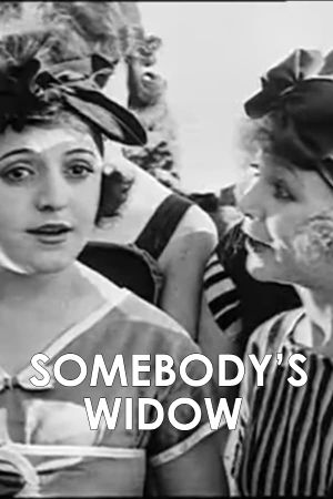 Somebody's Widow's poster