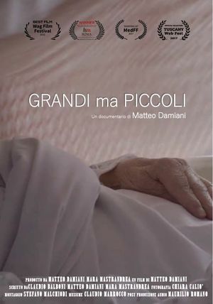 Grandi ma piccoli's poster