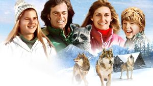 The Further Adventures of the Wilderness Family's poster