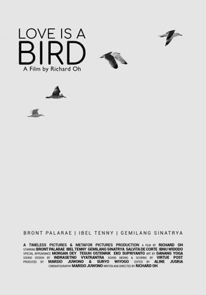 Love Is a Bird's poster