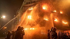The Firefighters's poster