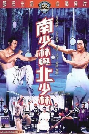 Invincible Shaolin's poster